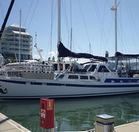 Coral Sea Dreaming Dive and Sail - Accommodation Mount Tamborine
