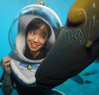 Sunlover Reef Cruises - Accommodation Mount Tamborine