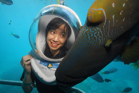 Sunlover Reef Cruises - Accommodation Mount Tamborine 0