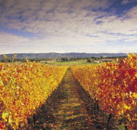 Link Tours - Accommodation Mount Tamborine