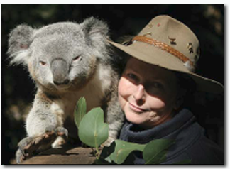 Koala Park Sanctuary - Accommodation Mount Tamborine 2