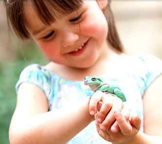 Reptile Encounters - Accommodation Mount Tamborine 1