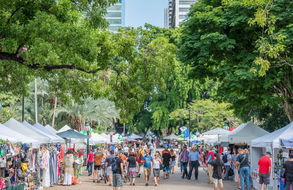 Book Brisbane QLD Attractions Accommodation Mount Tamborine Accommodation Mount Tamborine