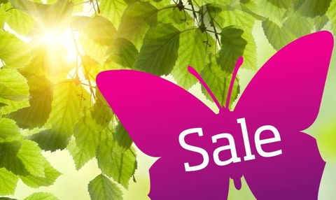 Wintergarden Shopping Centre - Accommodation Mount Tamborine 0