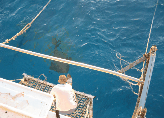 Carlo Fishing Charters - thumb 4