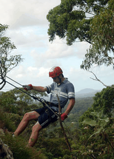 Adventures Around Brisbane - Accommodation Mount Tamborine