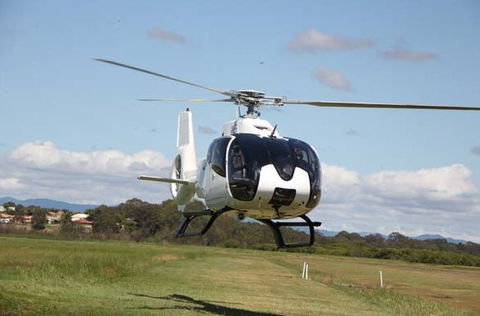 Executive Helicopters - Accommodation Mount Tamborine 9