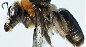 Western Australian Museum - Accommodation Mount Tamborine 0