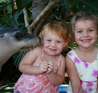 Dolphin Marine Magic - Accommodation Mount Tamborine
