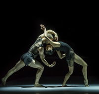 Sydney Dance Company - Accommodation Mount Tamborine