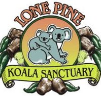 Lone Pine Koala Sanctuary - Accommodation Mount Tamborine
