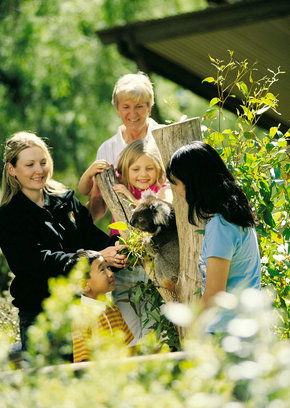 Cleland Wildlife Park - Accommodation Mount Tamborine 5