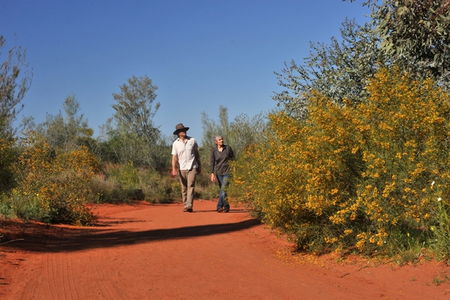 Alice Springs Desert Park - Accommodation Mount Tamborine 3
