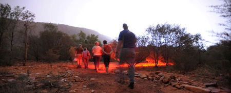 Alice Springs Desert Park - Accommodation Mount Tamborine 4