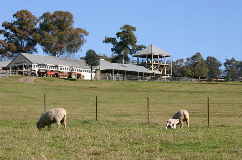 Calmsley Hill City Farm - Accommodation Mount Tamborine 3