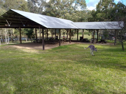 Calmsley Hill City Farm - Accommodation Mount Tamborine 5