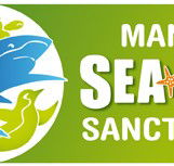 Manly SEA LIFE Sanctuary - Accommodation Mount Tamborine