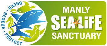 Manly SEA LIFE Sanctuary - Accommodation Mount Tamborine 0