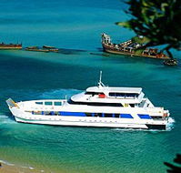 Queensland Day Tours - Accommodation Mount Tamborine