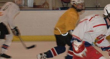 Hunter Ice Stadium - Accommodation Mount Tamborine 2