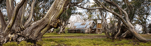 High Country Scenic Tours - Accommodation Mount Tamborine