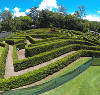 Bellingham Maze - Accommodation Mount Tamborine