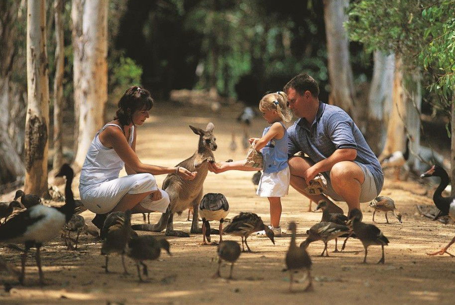 Rowes Bay QLD Accommodation Mount Tamborine