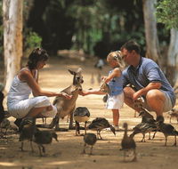 Billabong Sanctuary - Accommodation Mount Tamborine