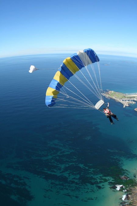 Skydive The Beach - Accommodation Mount Tamborine 2