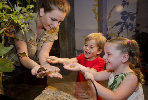 WILD LIFE Sydney Zoo - Accommodation Mount Tamborine 1