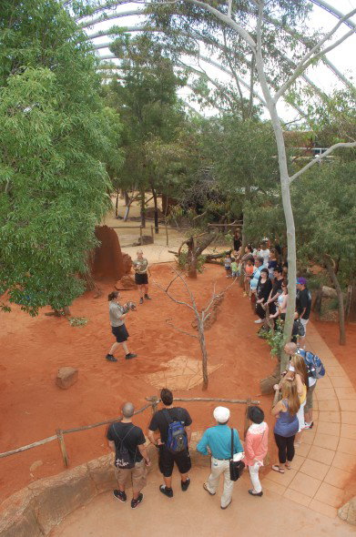 WILD LIFE Sydney Zoo - Accommodation Mount Tamborine 2