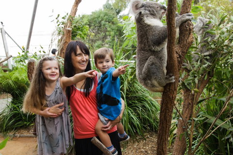 WILD LIFE Sydney Zoo - Accommodation Mount Tamborine 3