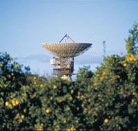 Big Dish - Accommodation Mount Tamborine