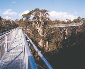  Accommodation Mount Tamborine