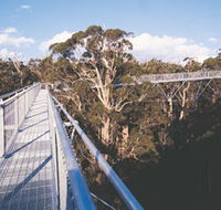 Walpole-Nornalup National Park - Accommodation Mount Tamborine