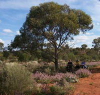 Karlkurla Bushland Park - Accommodation Mount Tamborine