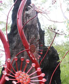 Meerup WA Accommodation Mount Tamborine