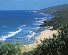 Yallingup Beach - Accommodation Mount Tamborine 0
