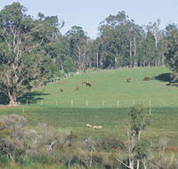 Scenic Drives - Bunbury Collie Donnybrook - Accommodation Mount Tamborine