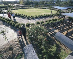 Kojonup Rose Maze - Accommodation Mount Tamborine 0