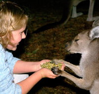 Discovery Bay's Walk on the Wild Side - Accommodation Mount Tamborine