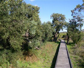 Kepwari Trails Wetland Wonderland - Accommodation Mount Tamborine 0