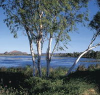 Celebrity Tree Park - Accommodation Mount Tamborine