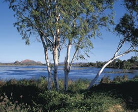 Celebrity Tree Park - Accommodation Mount Tamborine 0