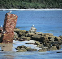 Whalers Beach - Accommodation Mount Tamborine