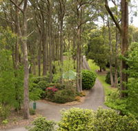 Mount Lofty Botanic Garden - Accommodation Mount Tamborine