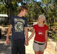 Crooked Brook Forest - Accommodation Mount Tamborine