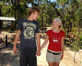 Crooked Brook Forest - Accommodation Mount Tamborine 0