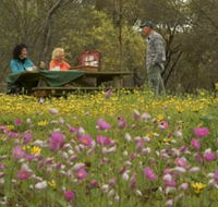 Gwambygine Park - Accommodation Mount Tamborine