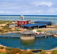 Ocean Park Aquarium - Accommodation Mount Tamborine